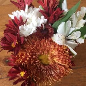 Meet your Posher, Jill